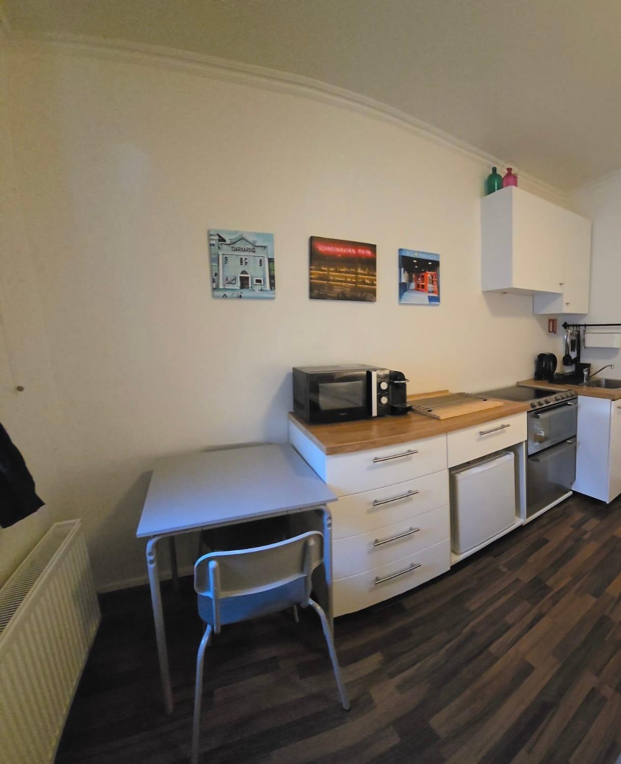 Studio 104- Free Parking Onsite -Private Entrance Reykjavík Dış mekan fotoğraf